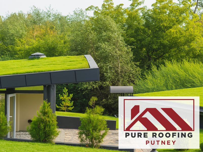 biodiverse green roof london