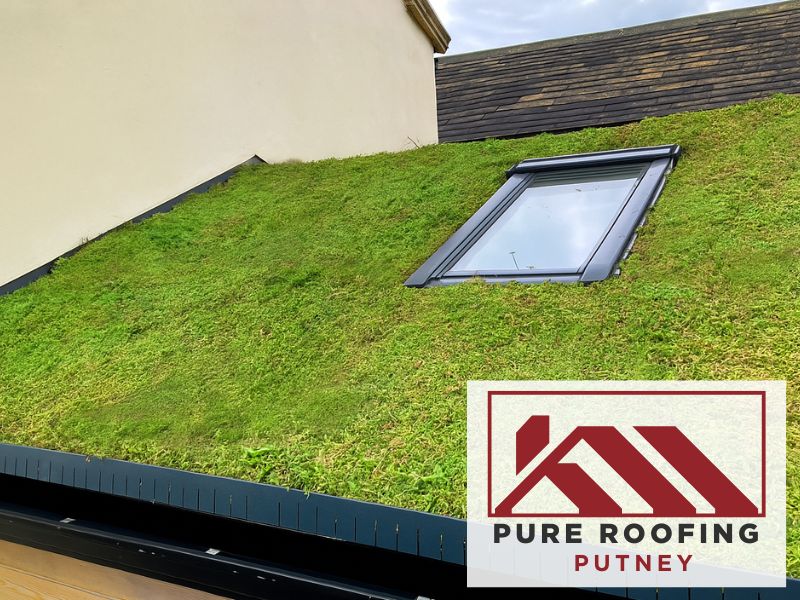 green roof drainage system london