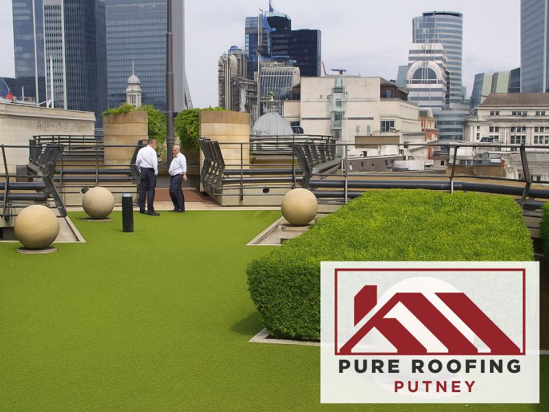 low maintenance sedum roofs london