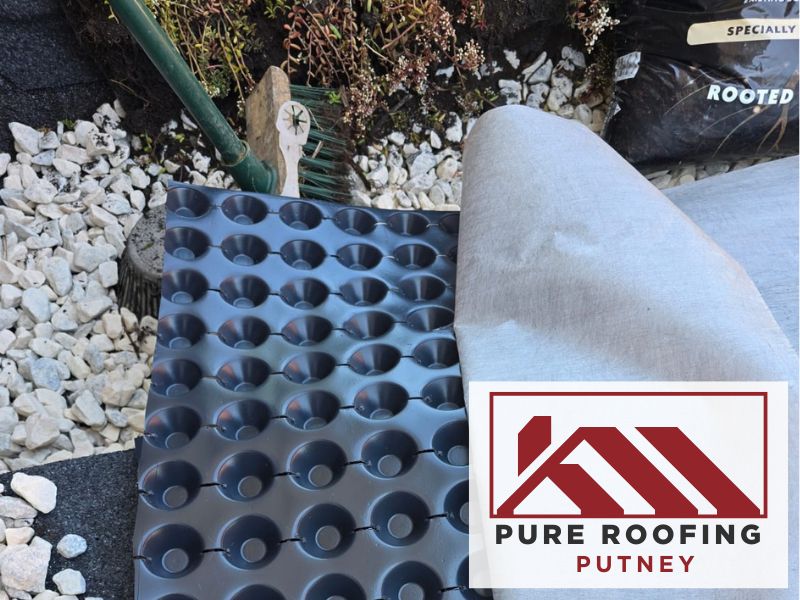 native wildflower green roof london